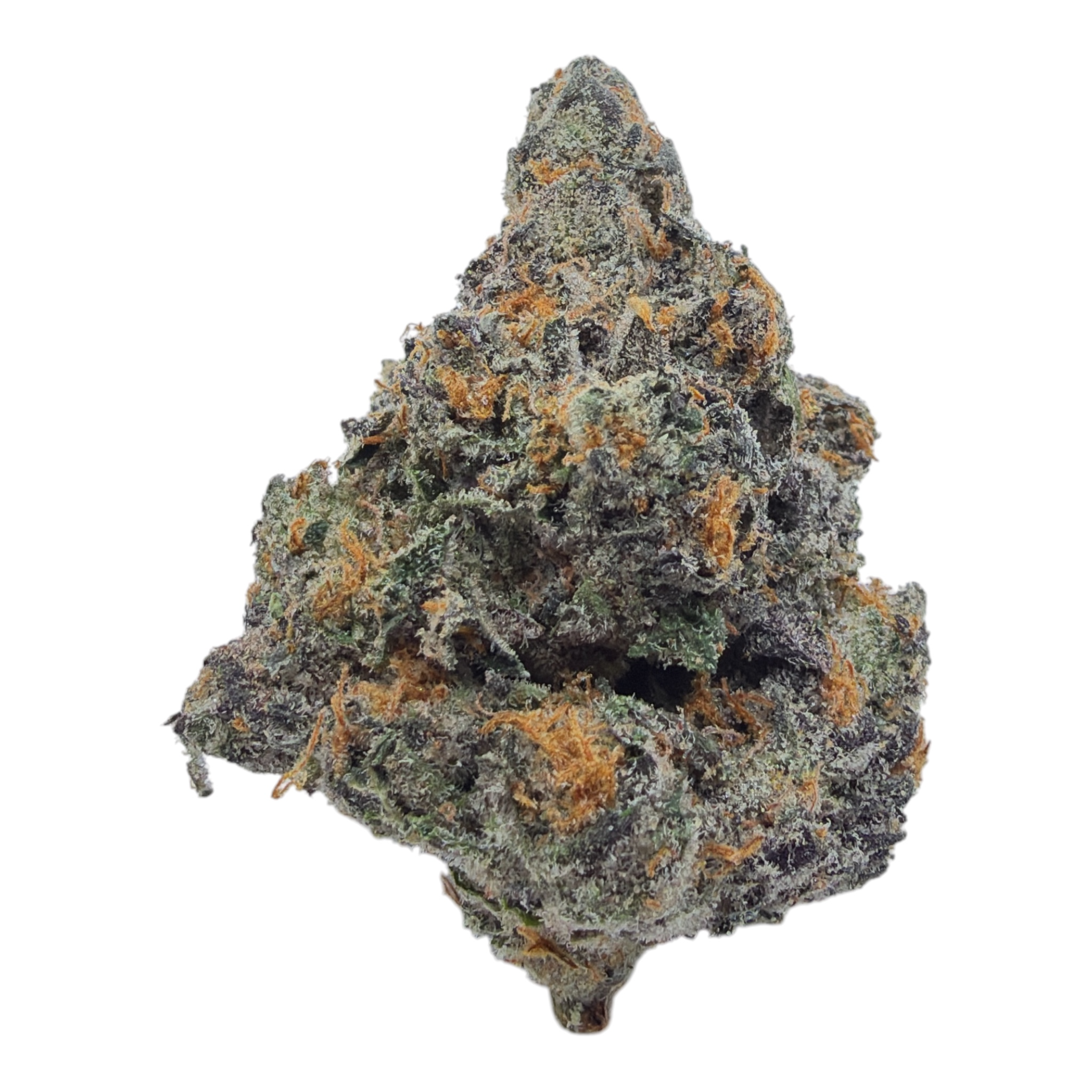 Zangria THCA flower - current full-size buds on white background