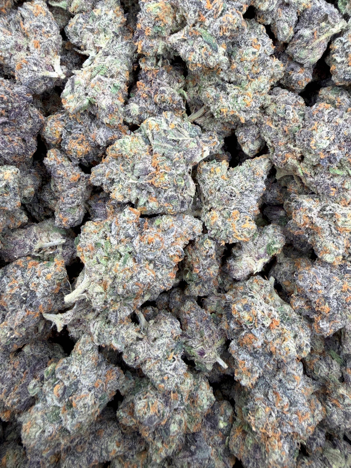 Zangria THCA flower - full current-batch lot photo