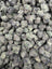 Zangria indoor smalls THCA flower — full-frame current-lot photo