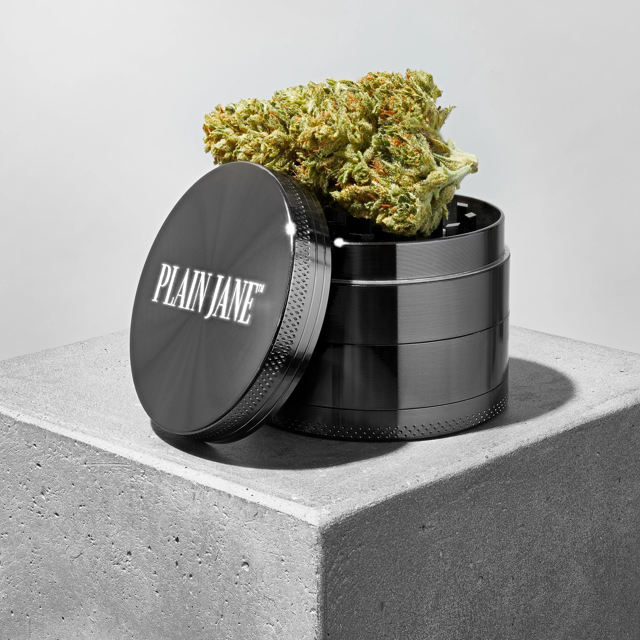 Real Plain Jane flower in a graphite grinder, photographed on a concrete plinth