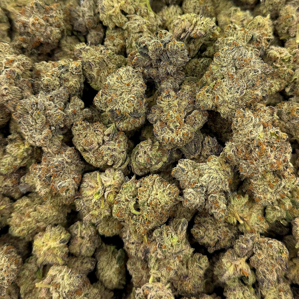 Close-up of White Chocolate Chip bulk THCA flower