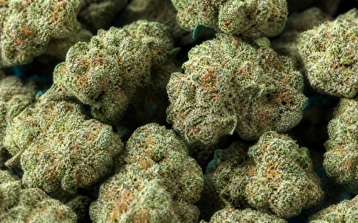 Frosted green Value Indoor bulk THCA flower buds
