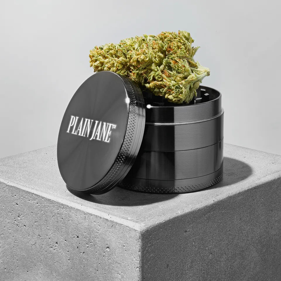 Plain Jane gunmetal grinder with bright flower on a concrete plinth