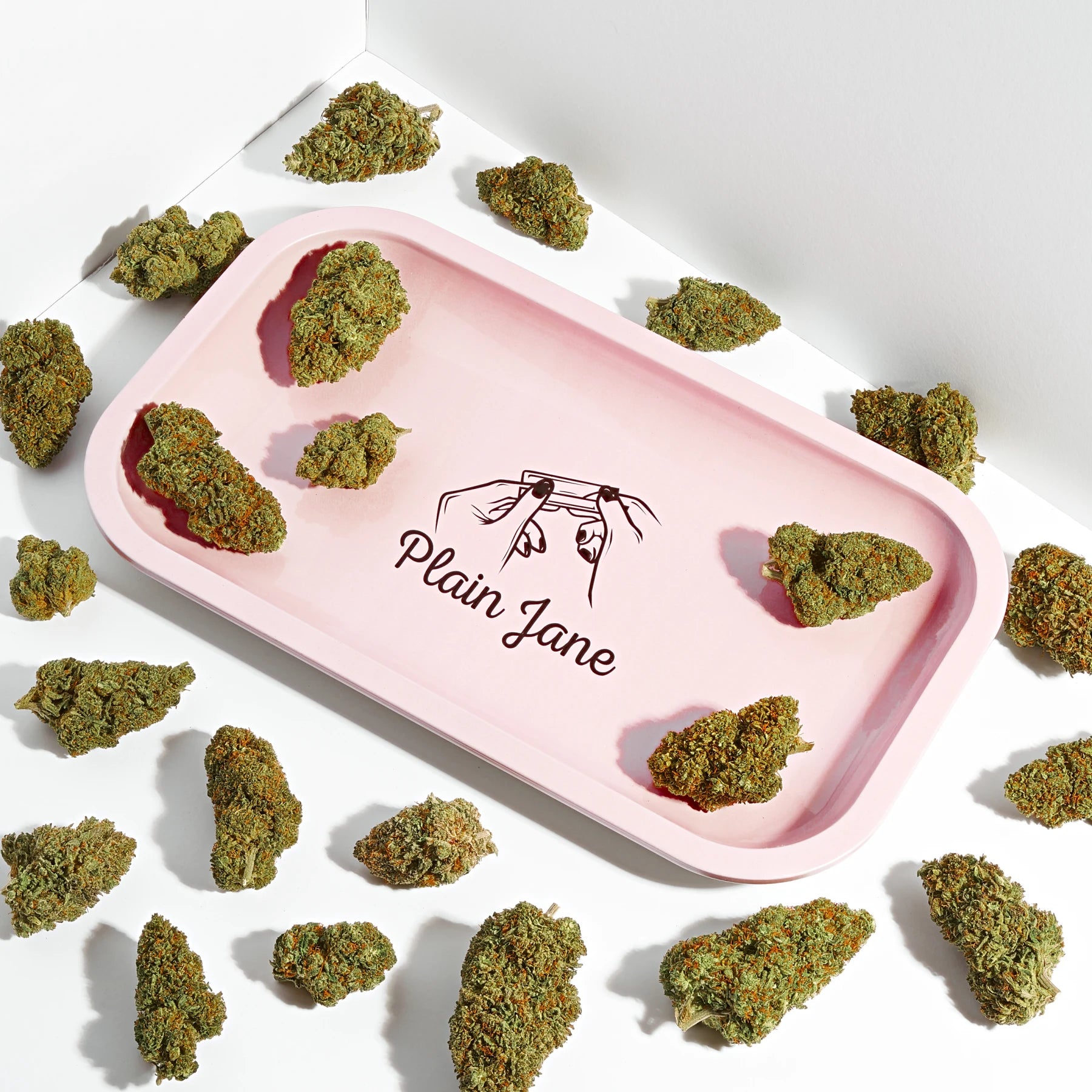Plain Jane studio photograph of real cannabis flower on a pink rolling tray