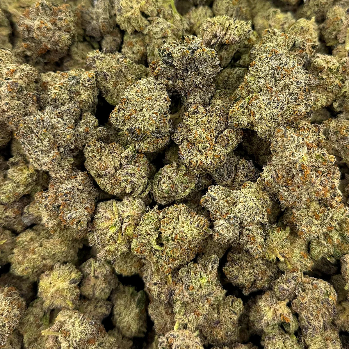White Chocolate Chip THCA flower close-up from the Plain Jane batch photography archive